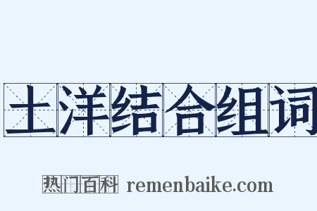 土洋结合组词是什么意思的图片
